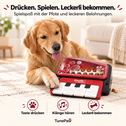 Leckerli-Klavier, das Hund & Katze beschäftigt